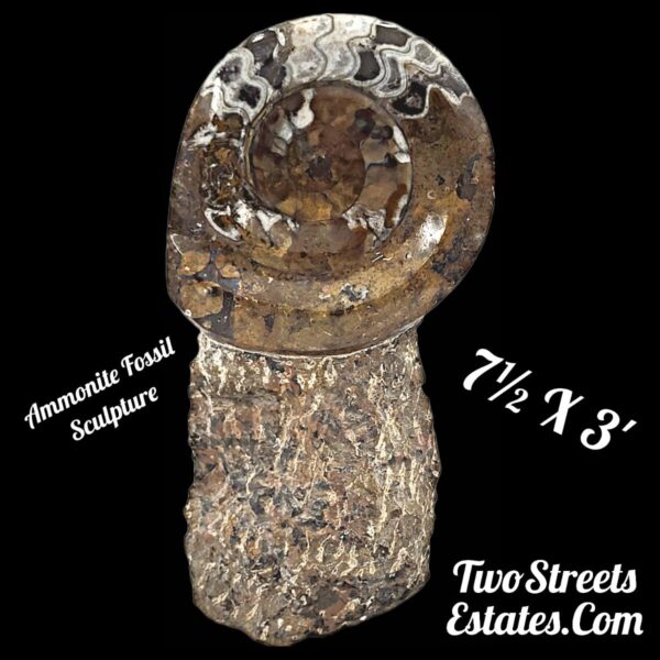 Ammonite Fossil Sculpture
