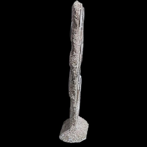 Large Double Sided Ammonite & Orthoceras Fossil Sculpture - Image 3
